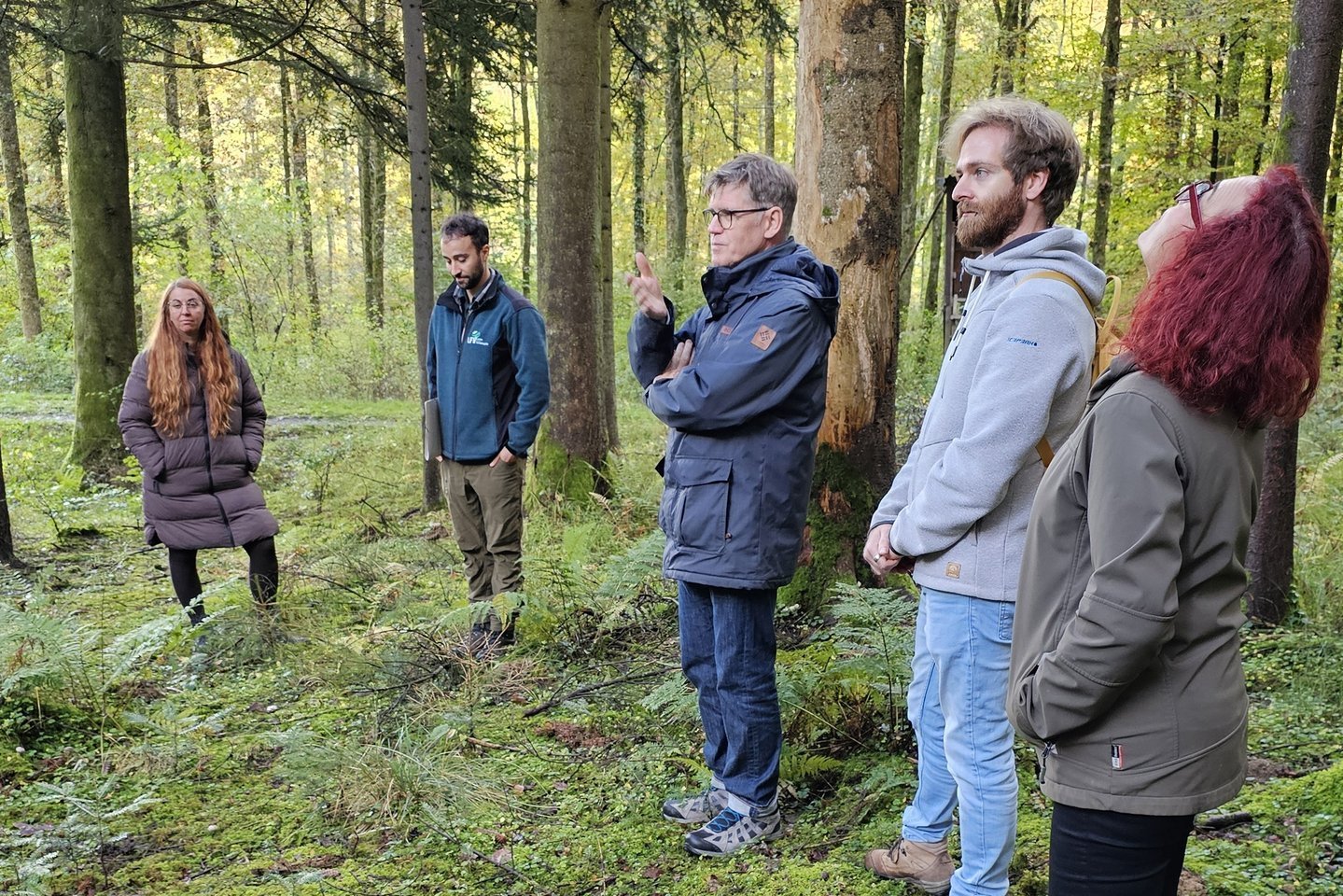 Mitten im Wald Mitten im Wald