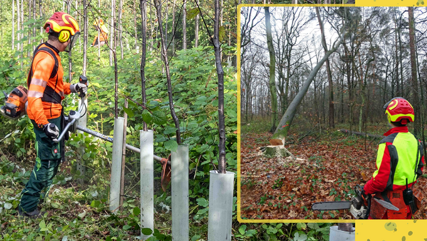 Arbeiten, wo andere Erholung suchen