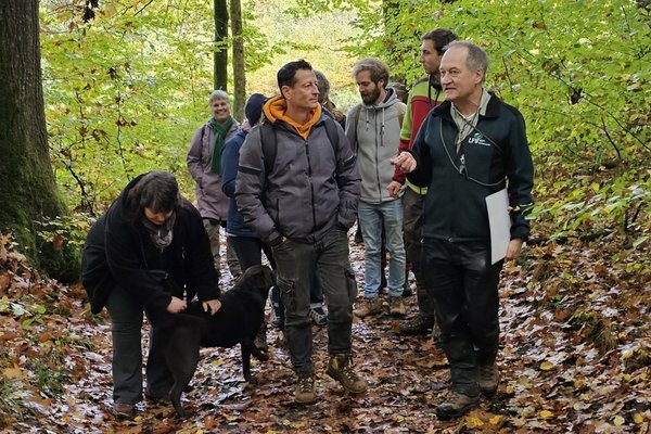 Aufmerksame Waldbegehende Aufmerksame Waldbegehende